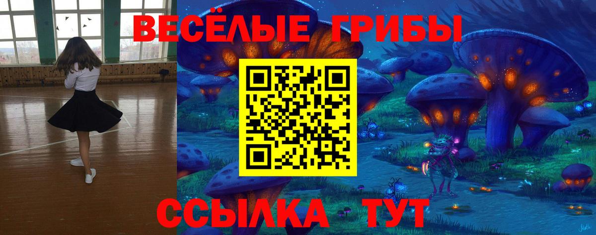Псилоцибиновые грибы MAGIC MUSHROOMS Шебекино