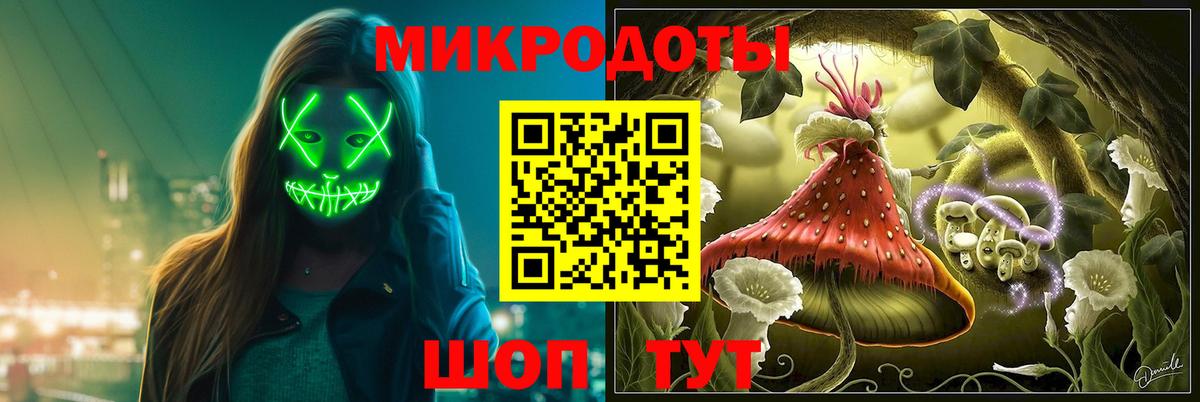 Шебекино  Псилоцибиновые грибы мухоморы  Вход с VPN 